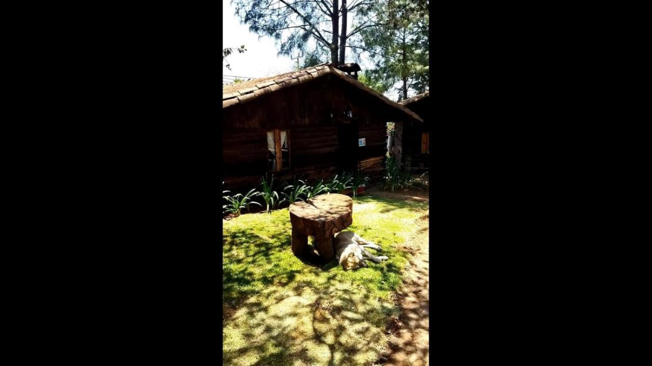 Cabanas Los Venados Mazamitla Exterior photo